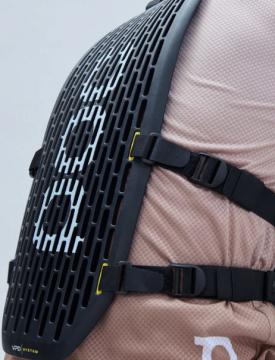 PROTECTION TORSE POC VPD SYSTEM